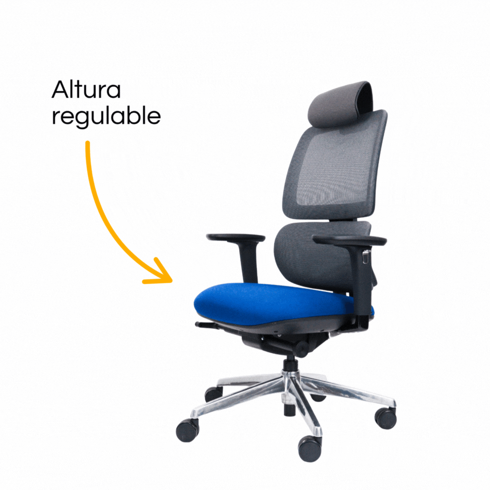 Silla Orca Gerencial (1)