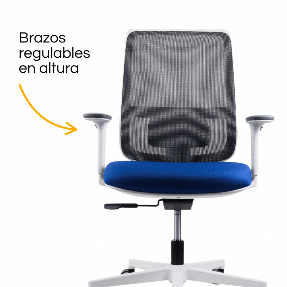 Silla Lotto Gris (4)