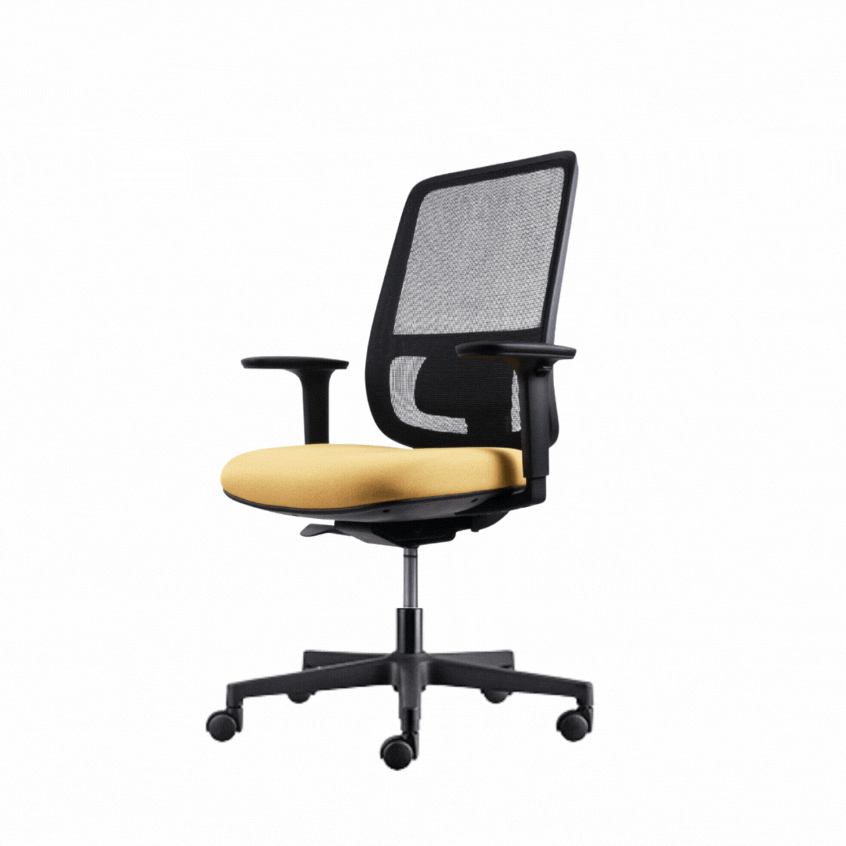 lotto negra nuevo con cabecera 2025