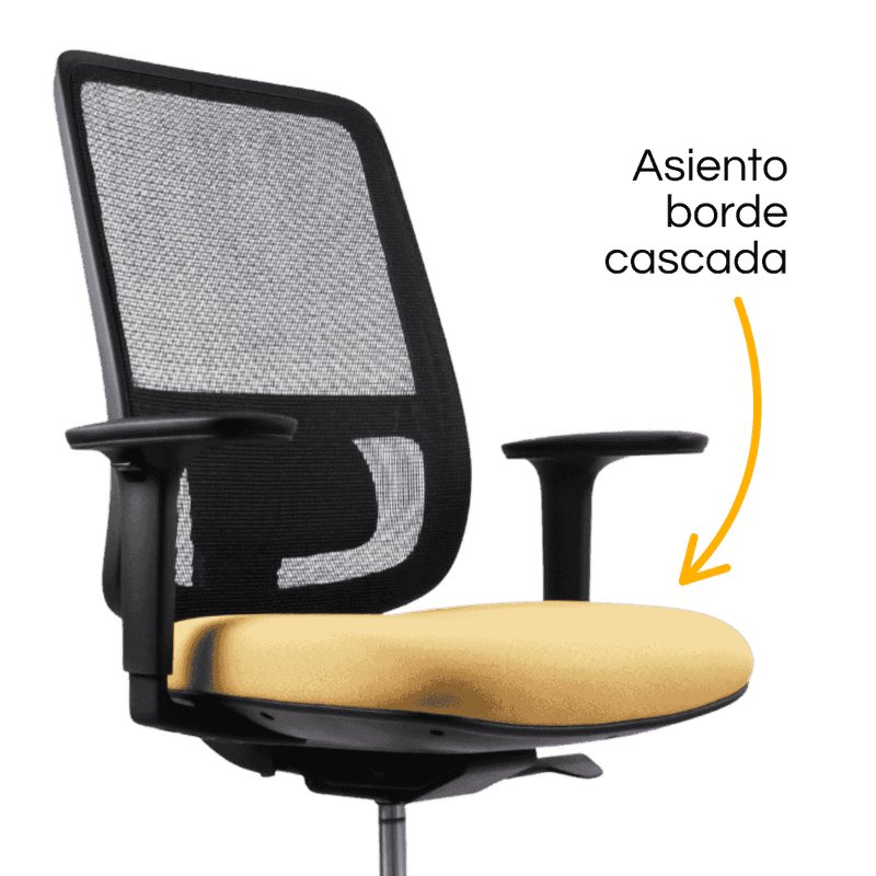 Silla Lotto Negra – asiento cascada