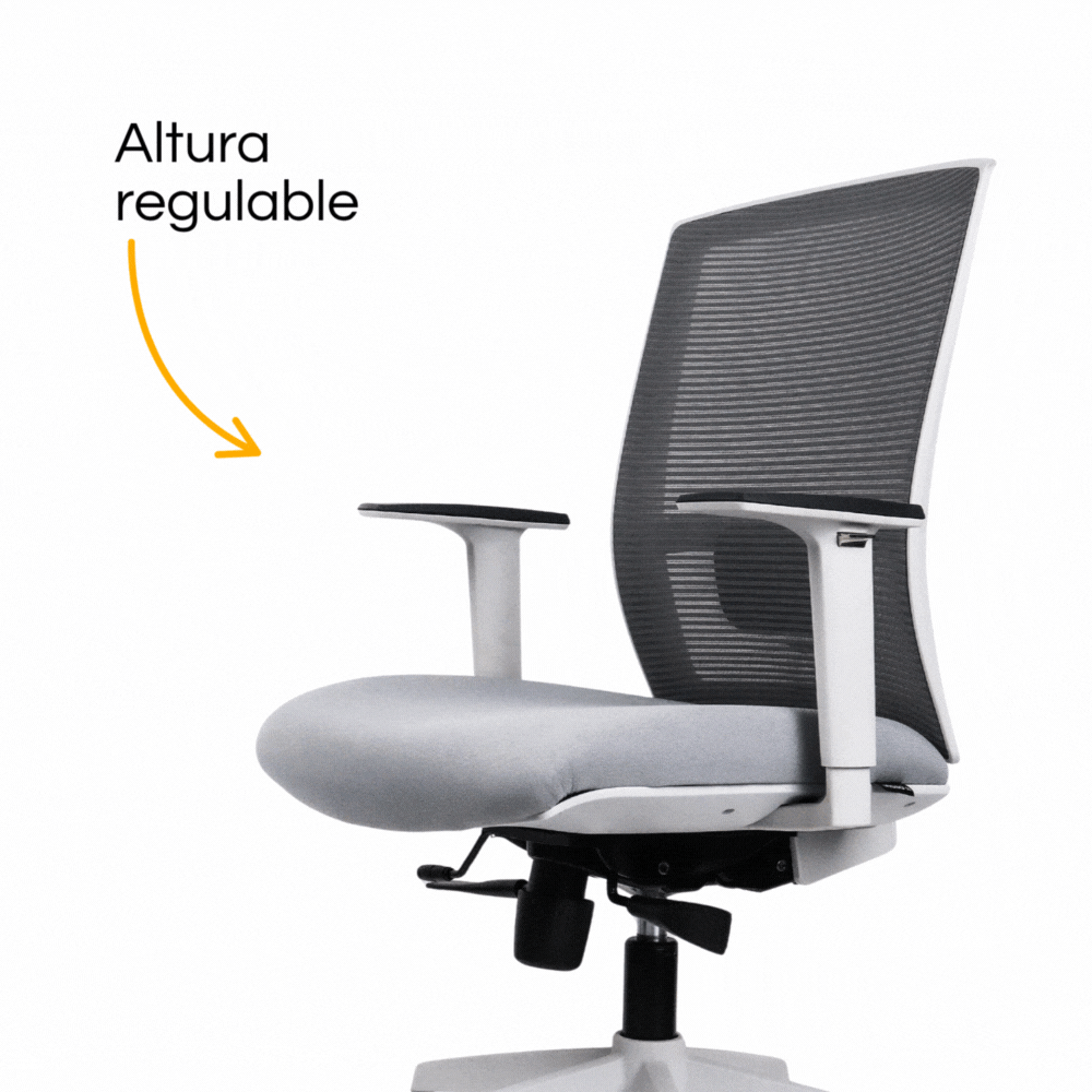 Silla Taylor Gris (1)