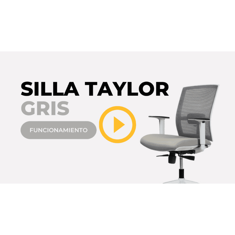 Banner - Taylor Gris