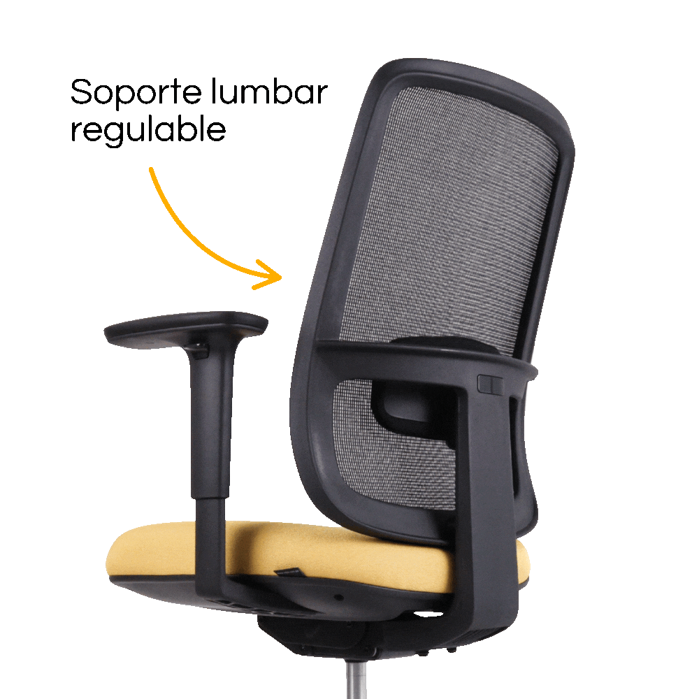 Silla Lotto Negra – Soporte lumbar regulable