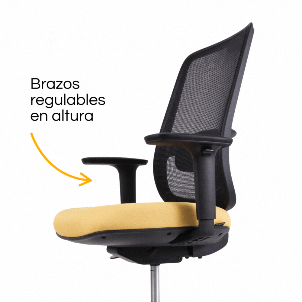 Silla Lotto Negra – brazos regulables