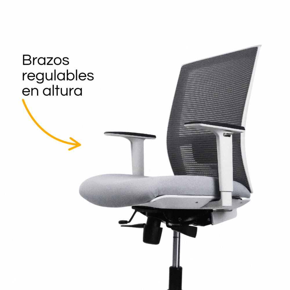 Silla Taylor Gris (3)