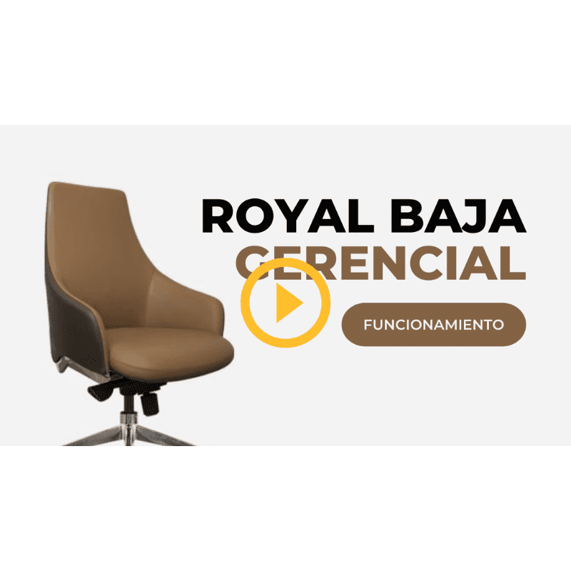Banner - Silla Royal Baja