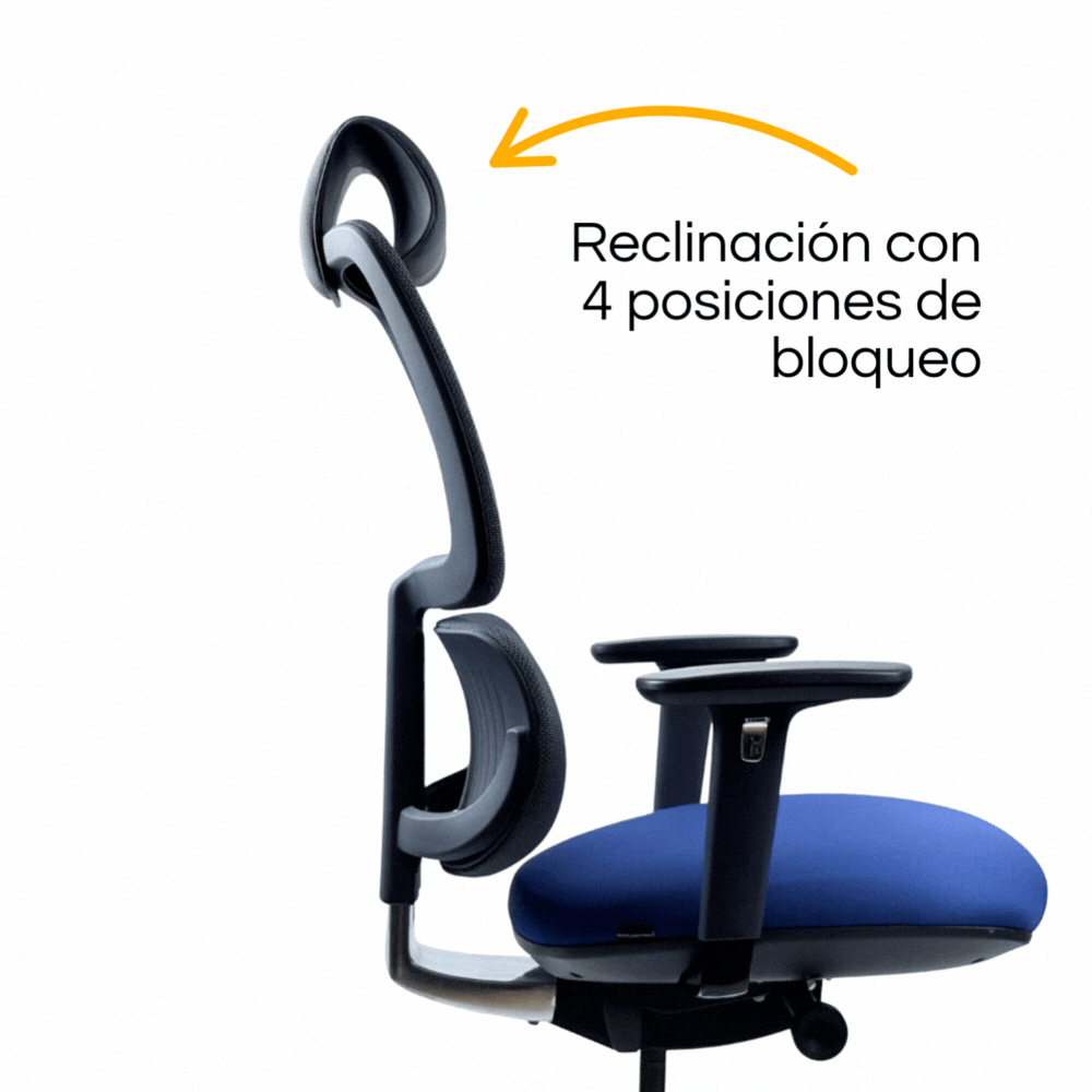 Silla Orca Gerencial (3)