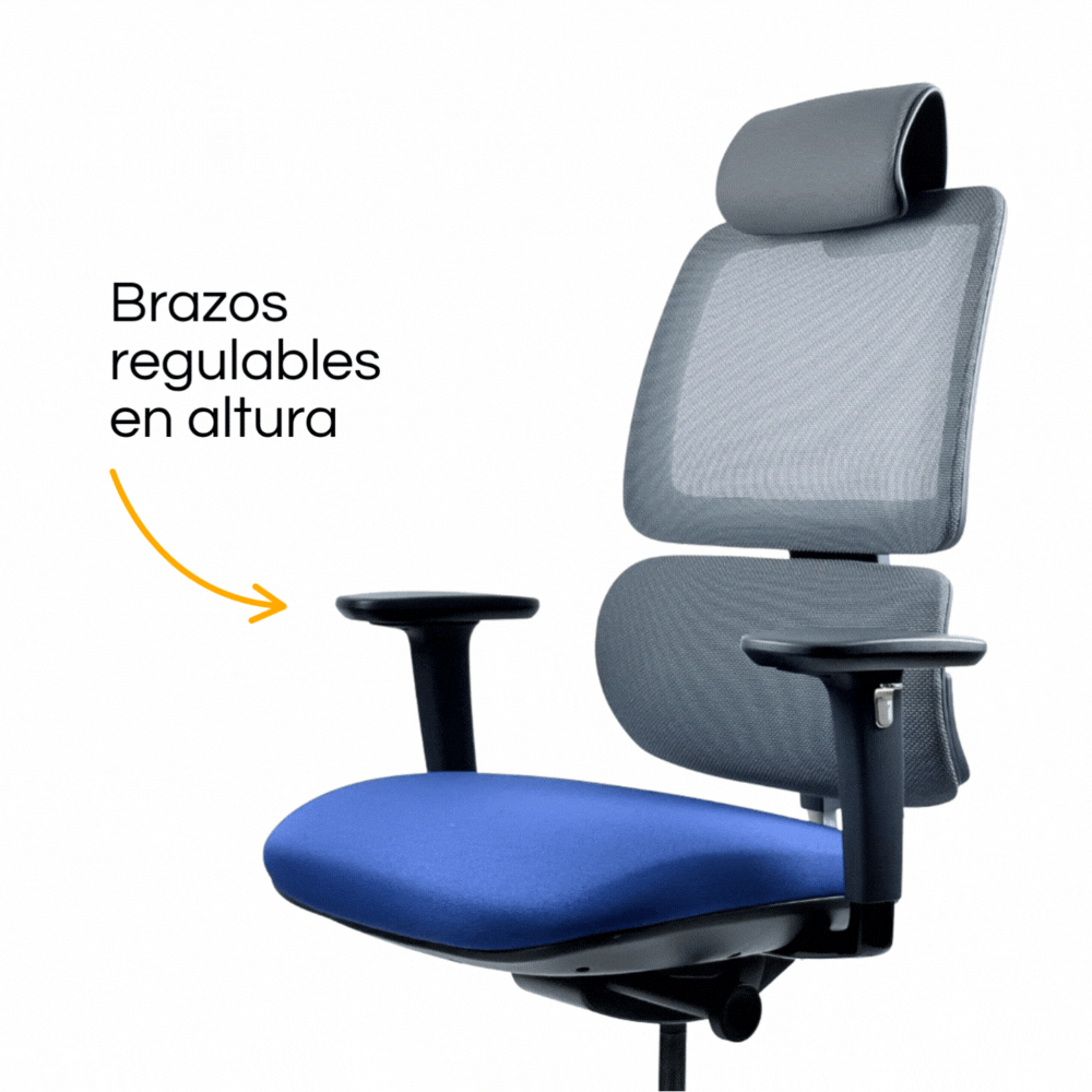 Silla Orca Gerencial (4)