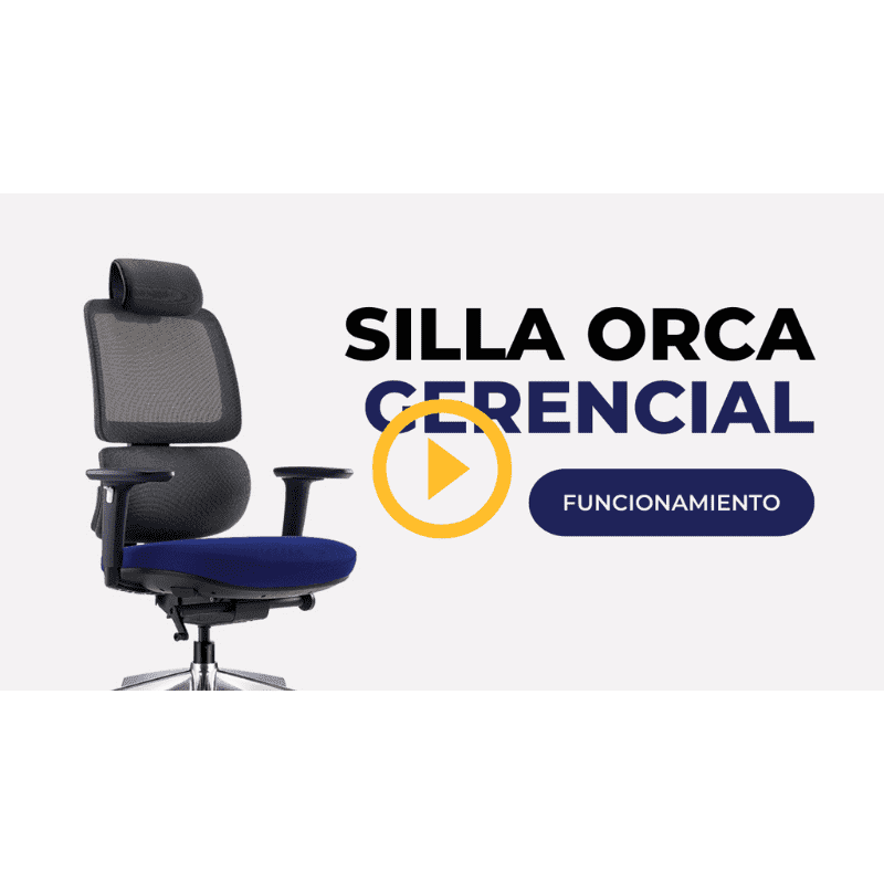 Banner - Silla Orca Gerencial