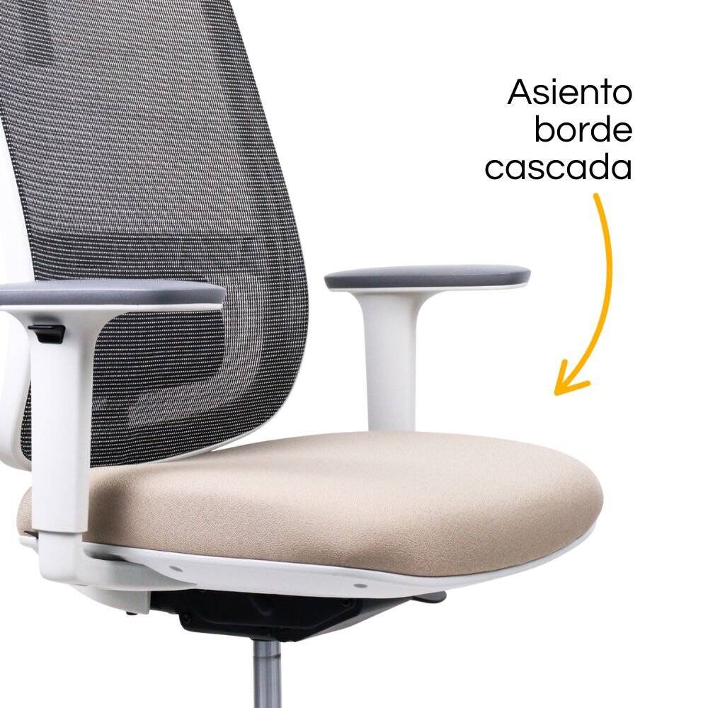 Silla Lotto Gris con cabecera (1)