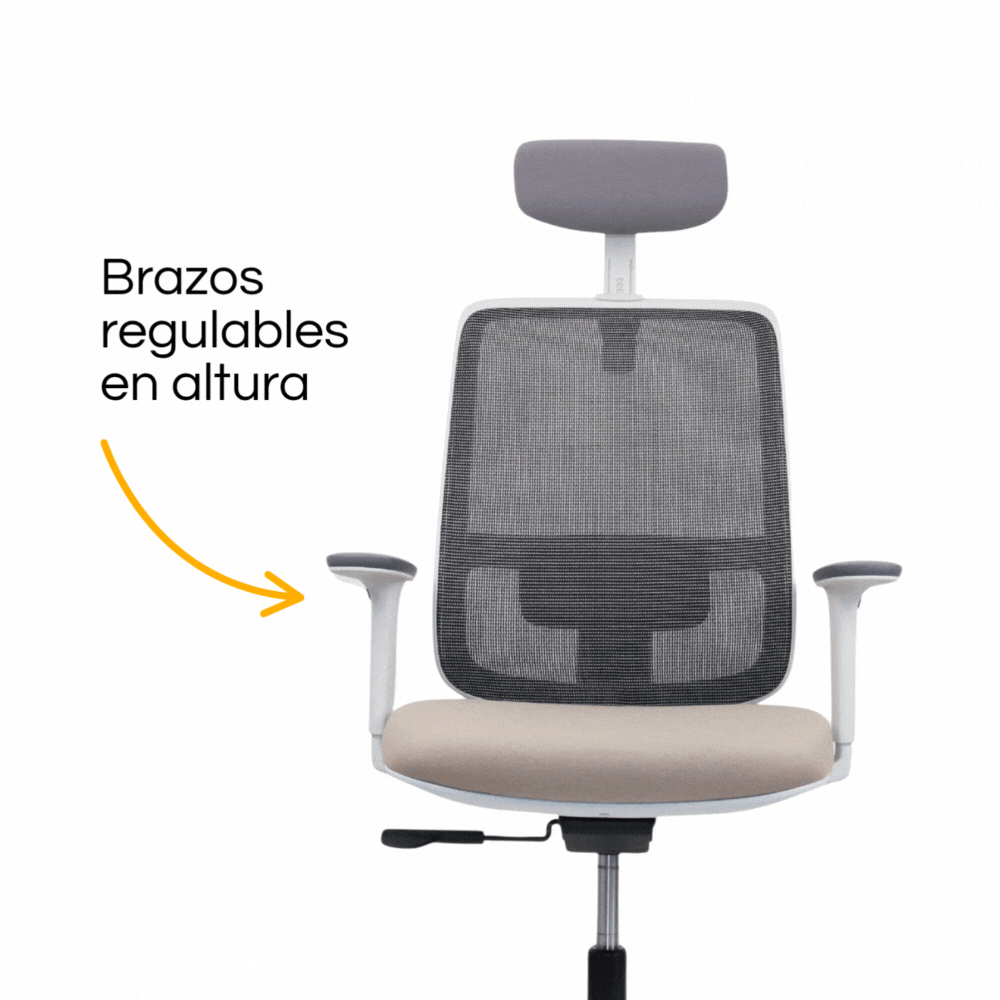 Silla Lotto Gris con cabecera (4)