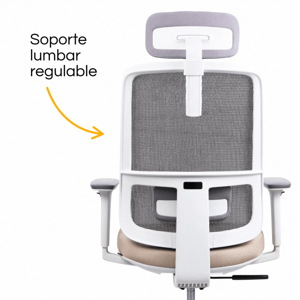 Silla Lotto Gris con cabecera