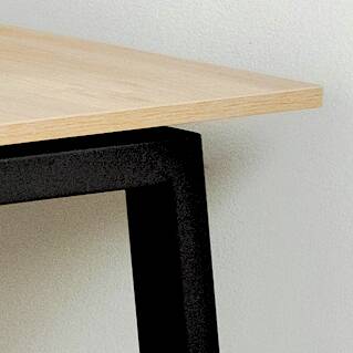 Aster negro detalle
