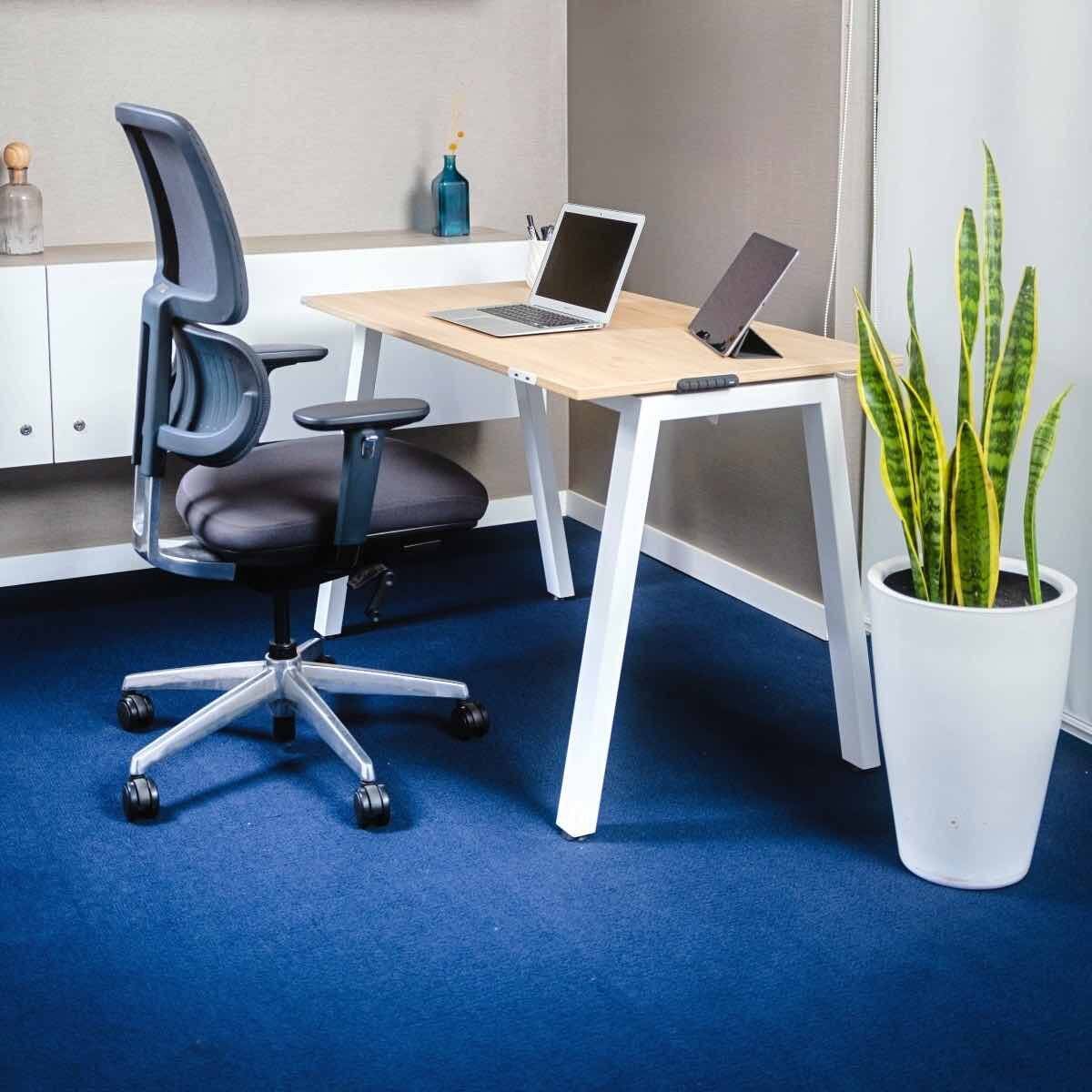 DSCF4006-fotor-202408199516