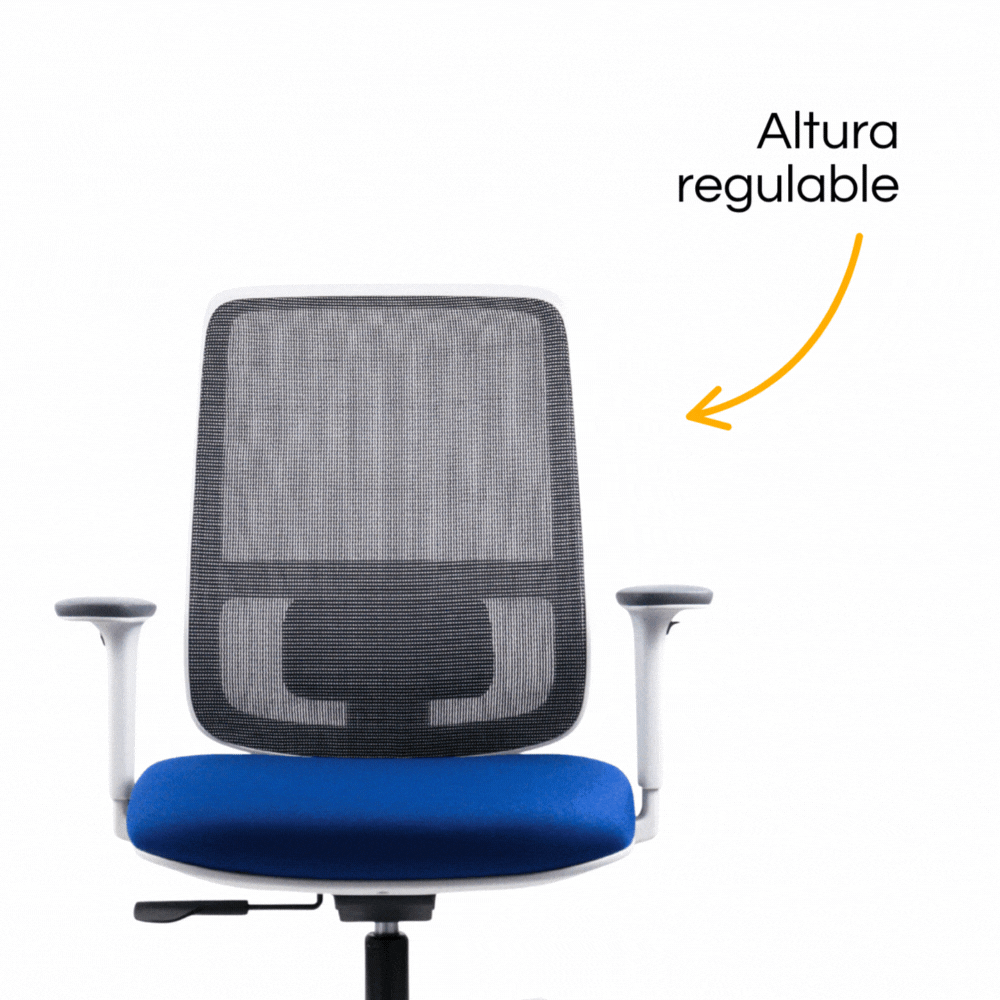 Silla Lotto Gris (1)