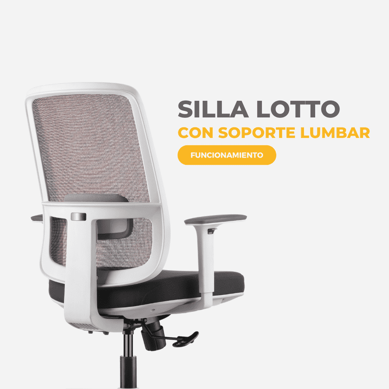 Silla Lotto Silla Lotto Visso