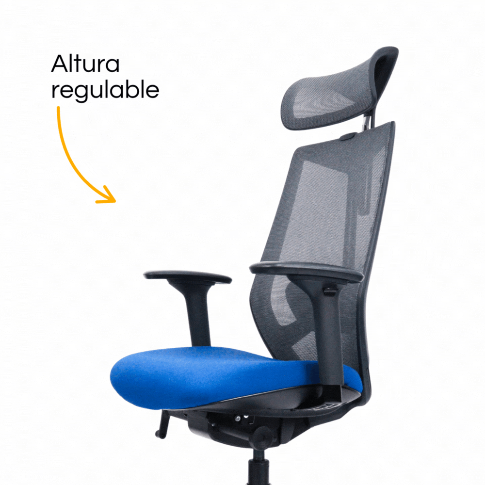 Silla Arco Gerencial (1)