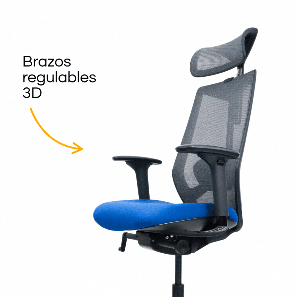 Silla Arco Gerencial (3)