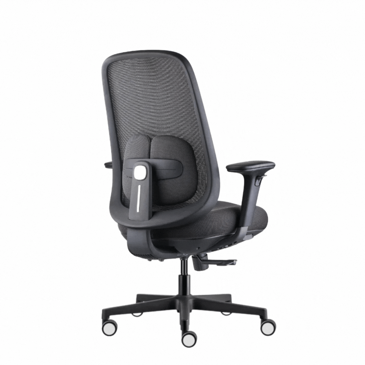 Silla Twinkle - con y sin cabecera