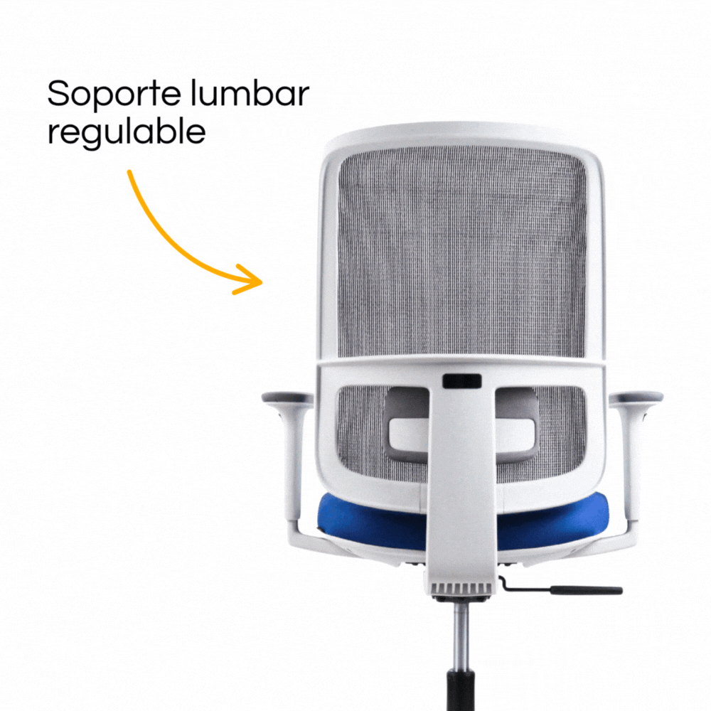 Silla Lotto Gris