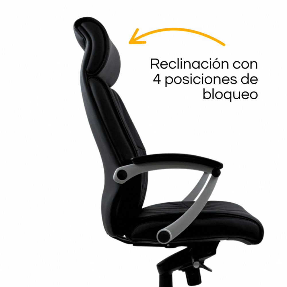 Silla Classic