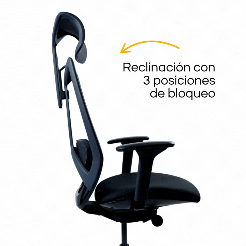 Silla Arco Gerencial (2)