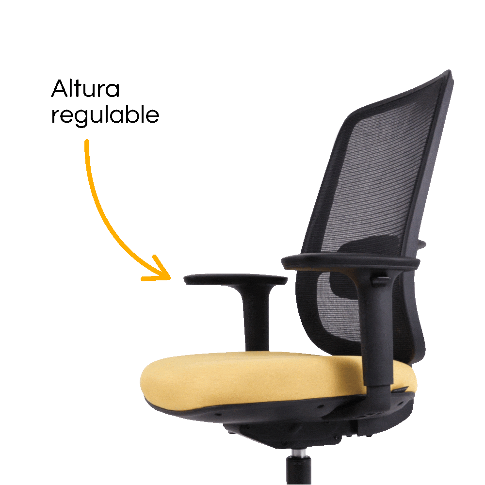 Silla Lotto Negra – Altura regulable 10cm