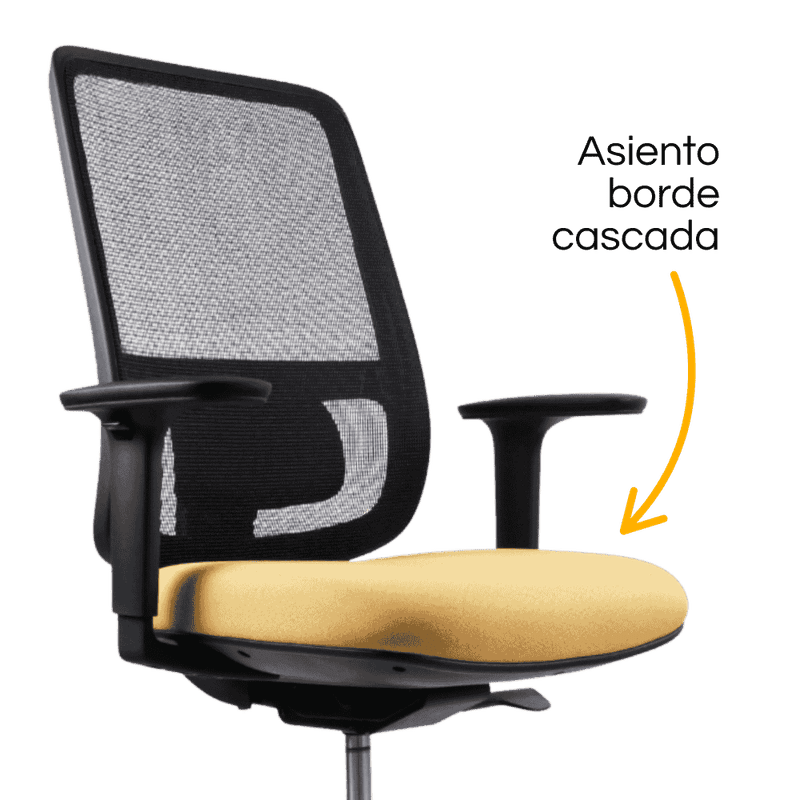 Silla Lotto Negra – asiento cascada