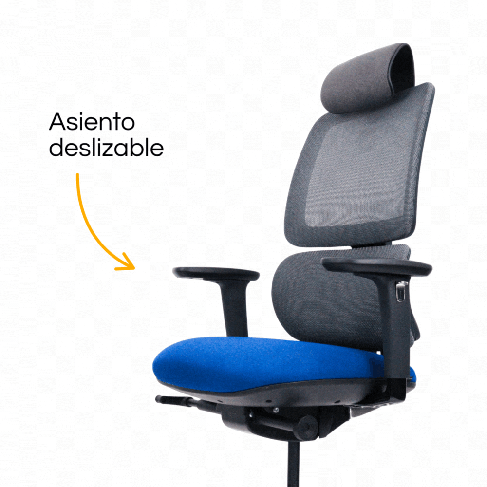 Silla Orca Gerencial (2)